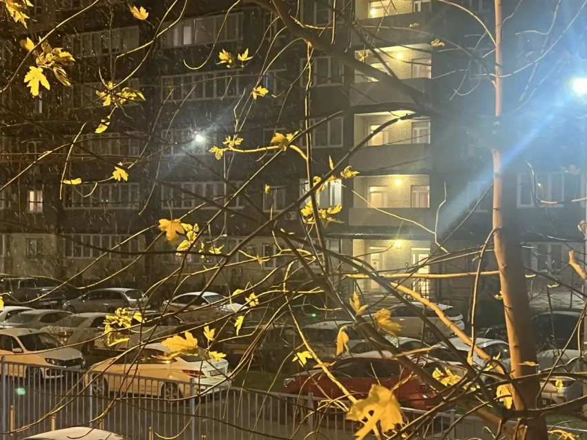 В Краснодаре заметили первый снег: видео