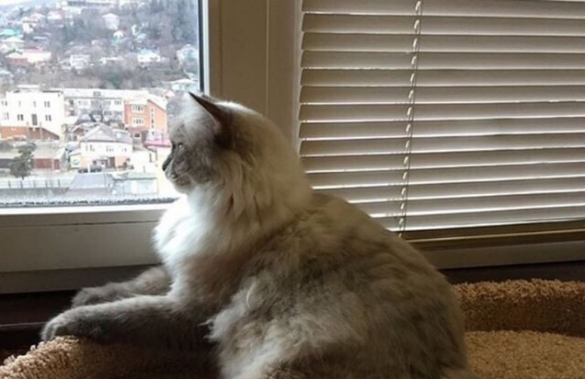  Можно радоваться, дождя не будет, будет снег 