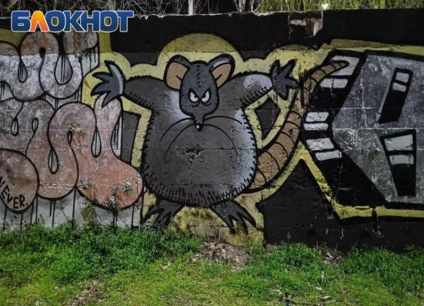 В Краснодаре вместо патриотических граффити нарисовали сгущёнку, толстую мышь и мурал с рэпером