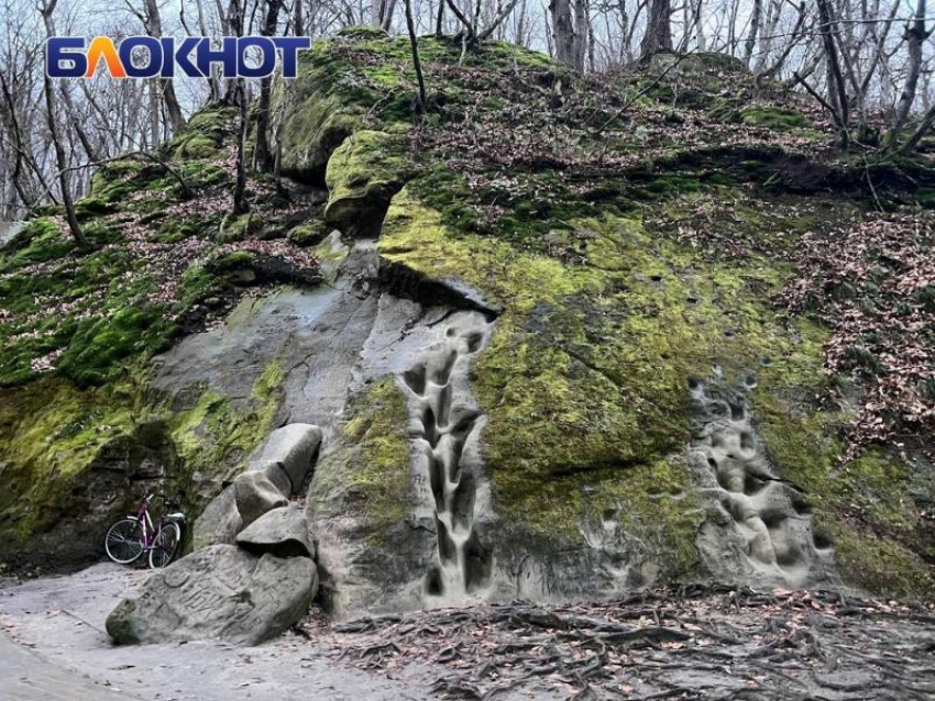 Выходные без моря: краснодарцам предложили варианты осеннего отдыха