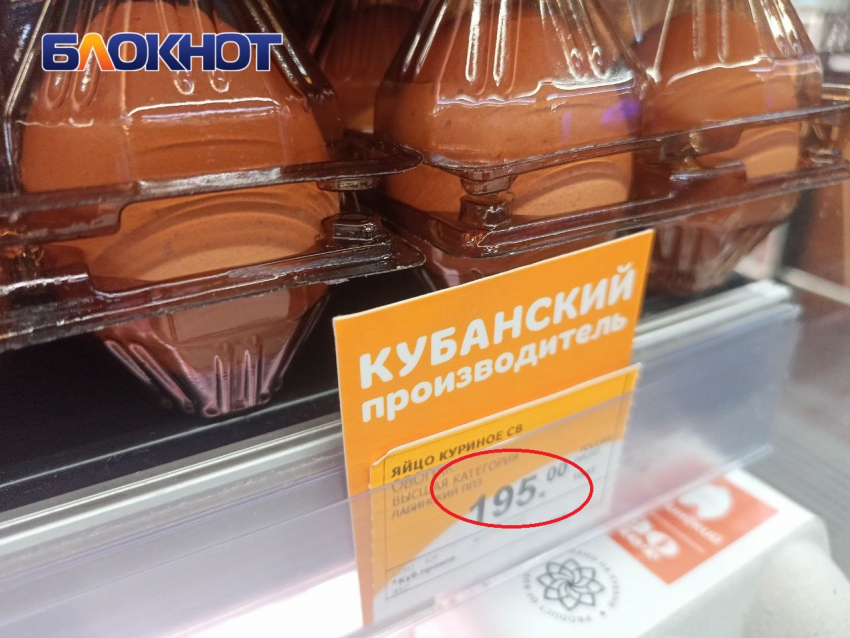«Зачем нам турецкие яйца - свои девать некуда»: краснодарский депутат Госдумы объяснил рост цен жадностью 