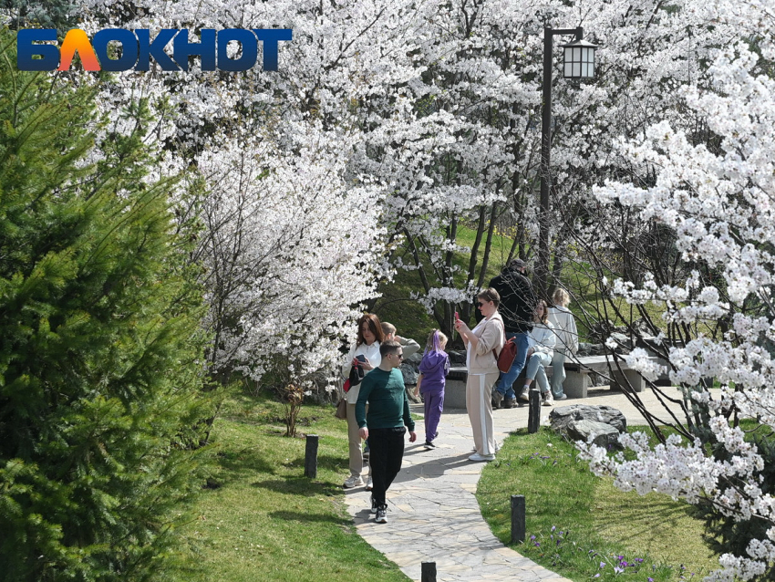 От +9 ночью до +20 днем: резкие перепады температуры накроют Краснодар в начале апреля  