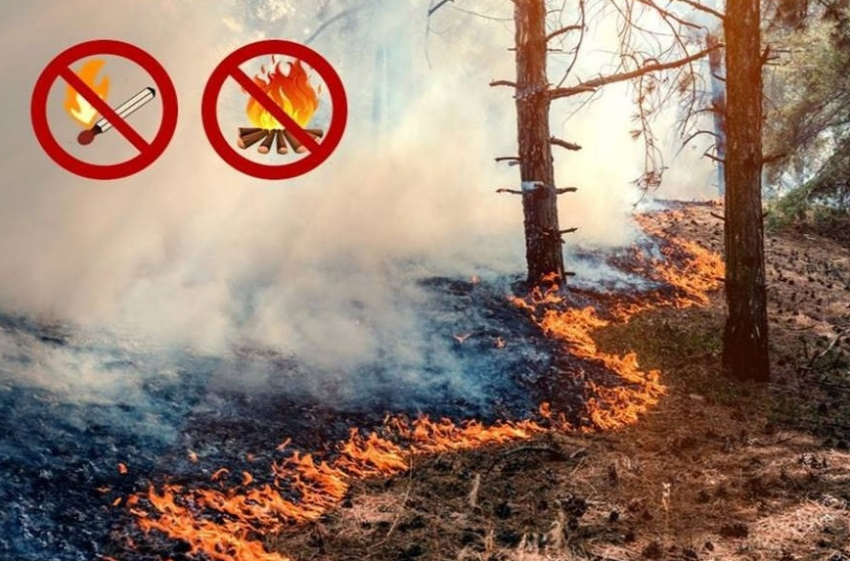 В Краснодаре объявили экстренное предупреждение из-за угрозы пожаров