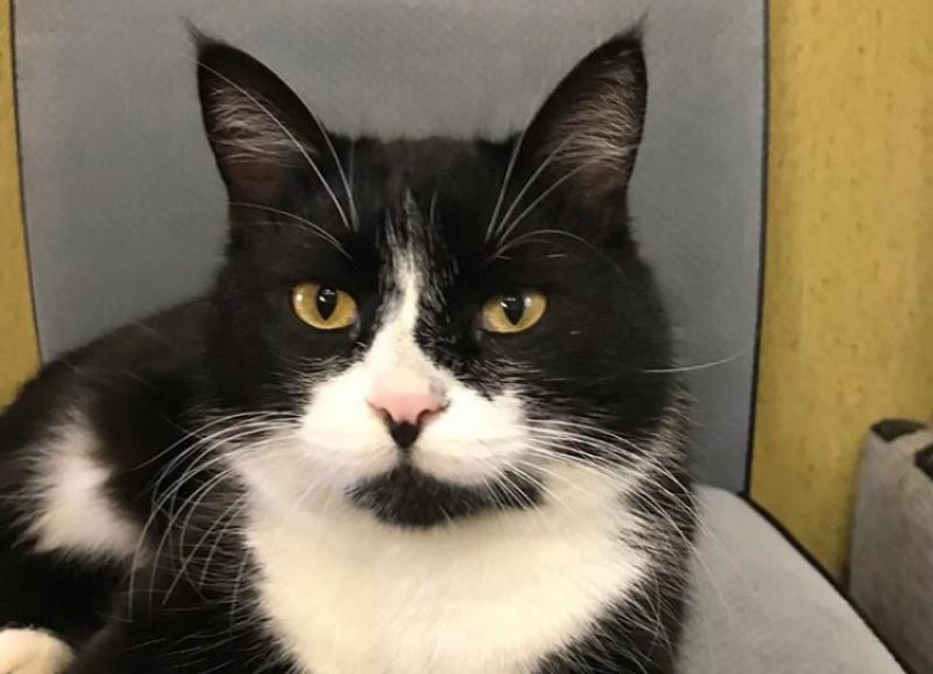 Ветер, туман и похолодание: синоптики рассказали, что ждать от погоды на Кубани