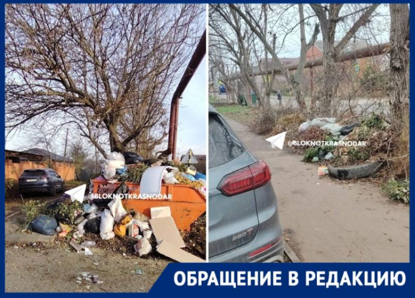 «Мы погрязли в мусоре»: горы отходов и полную антисанитарию показали краснодарцы 