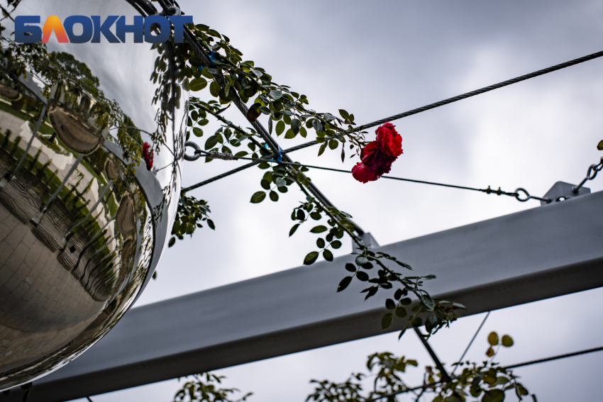 В Краснодар среди недели вернутся дожди