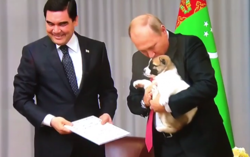  Путин в Сочи поцеловал собаку, которую ему подарили на день рождения 