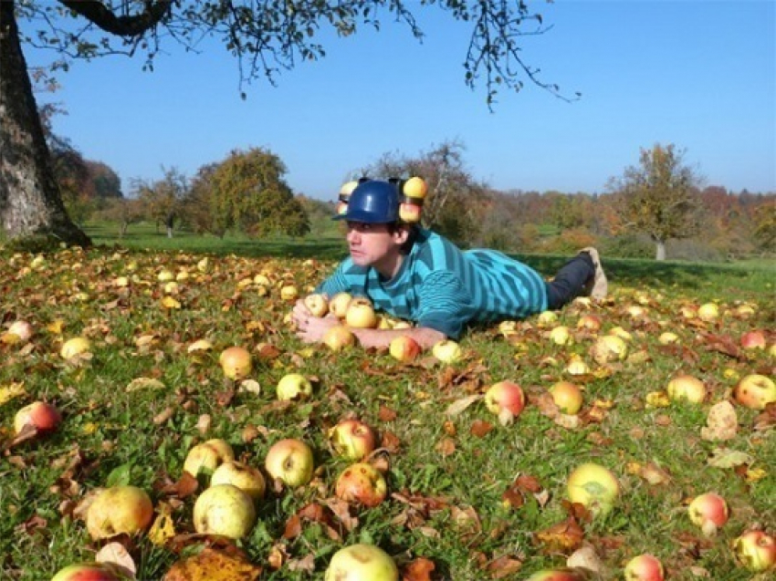 В Краснодарском крае вор пытался утащить на себе 100 кг яблок 