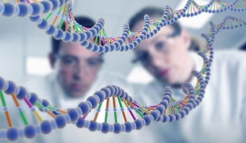 Краснодарцы поделились ДНК для масштабного исследования