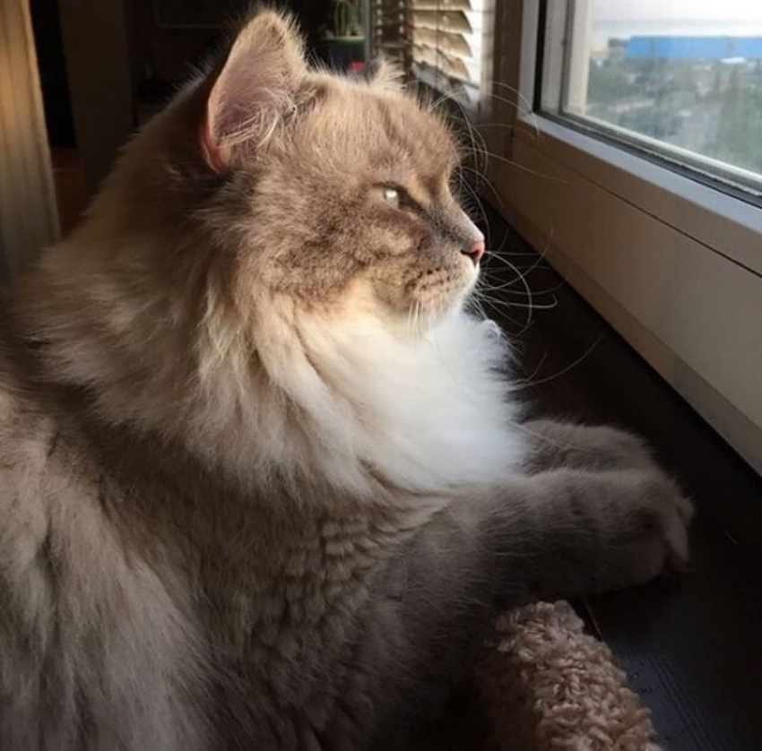  На Кубани снова обещают дожди и даже мокрый снег 