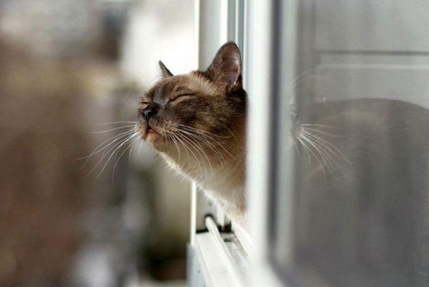 Дождь и мокрый снег пройдут на Кубани