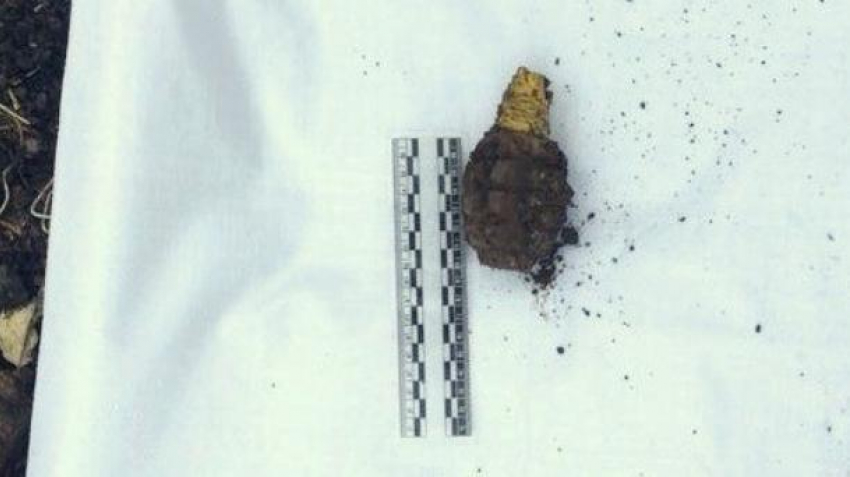 Опасную находку времен Великой Отечественной войны нашли в Сочи