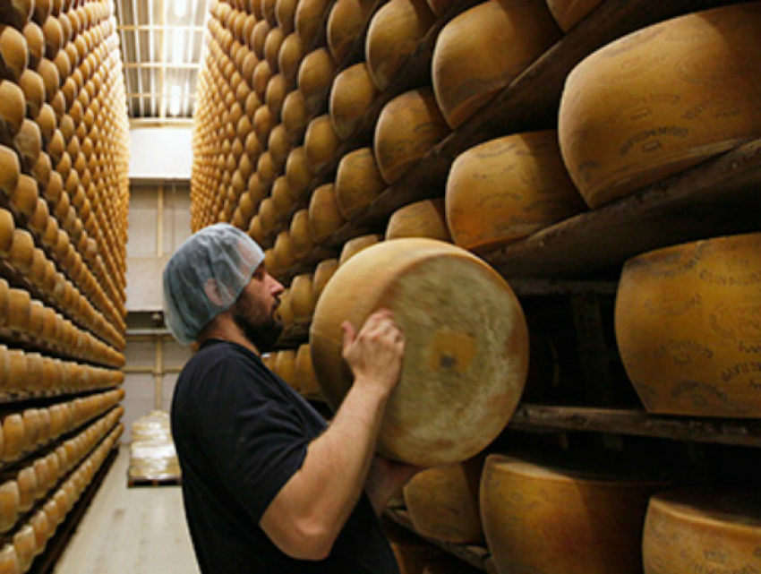 Элитные сыры станут производить в Краснодаре