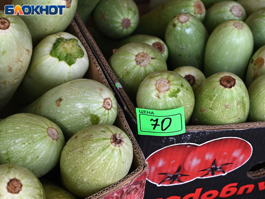 Турецкие кабачки с заразой развернули перед Краснодарским краем