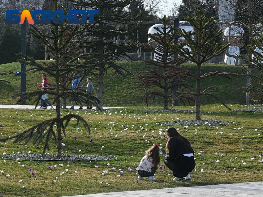 Дожди или солнце: что подкинет погода краснодарцам в конце февраля?