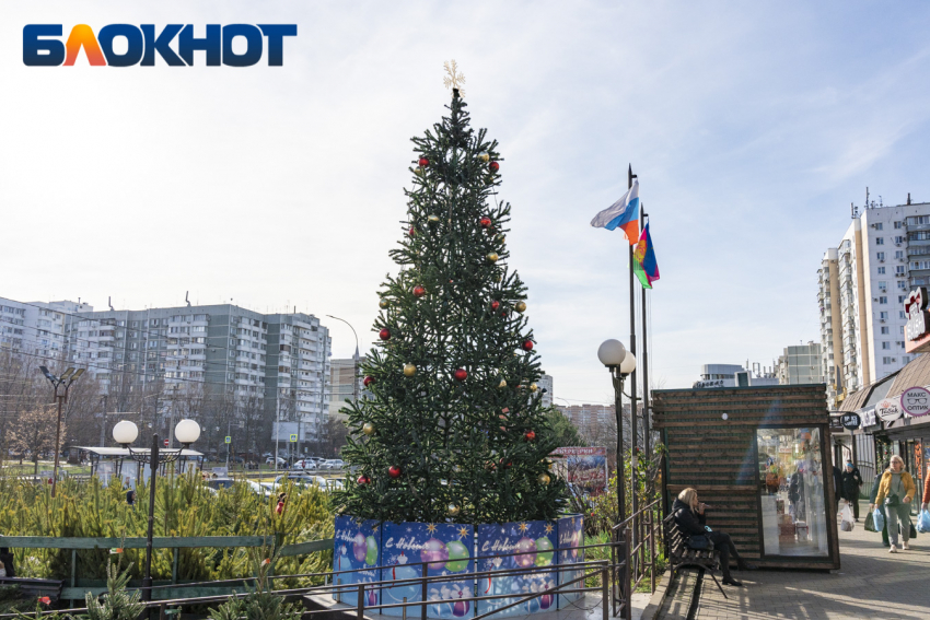 До +19 и без снегопадов: каким будет декабрь в Краснодаре