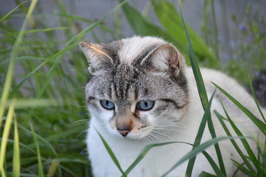 Над Краснодаром прогнозируют облака