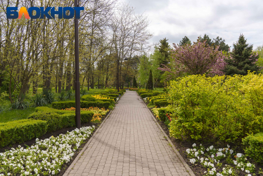 Утренний дайджест: воздух в Краснодаре прогреется до +16, а работники скорой принимают поздравления  