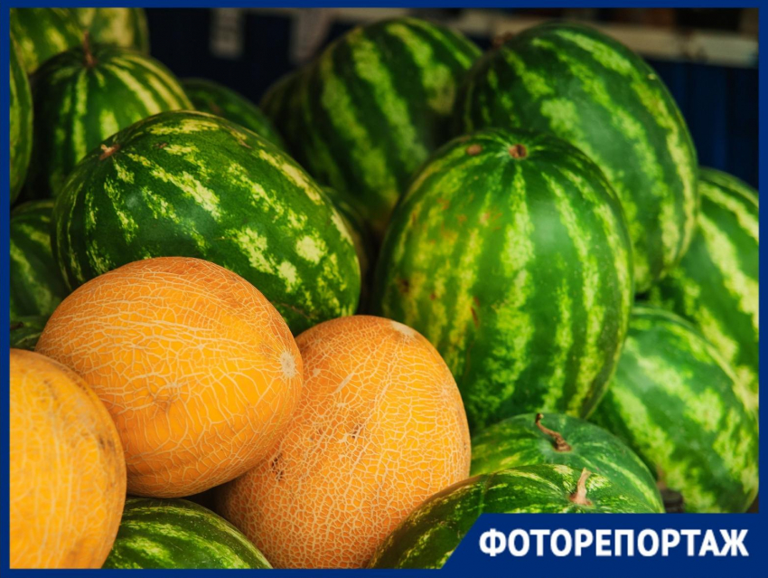 Настал арбузный бум: сколько стоит ягода и какими сортами удивляют краснодарцев в 2025