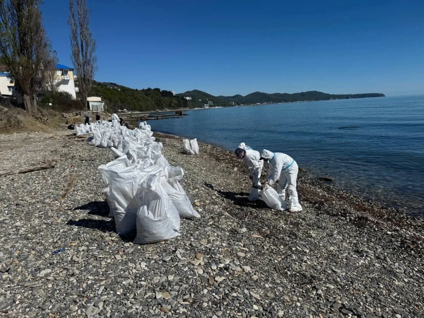 Туапсе сражается с разливом нефтепродуктов: убрали 4 тысячи кубометров мазута и грунта