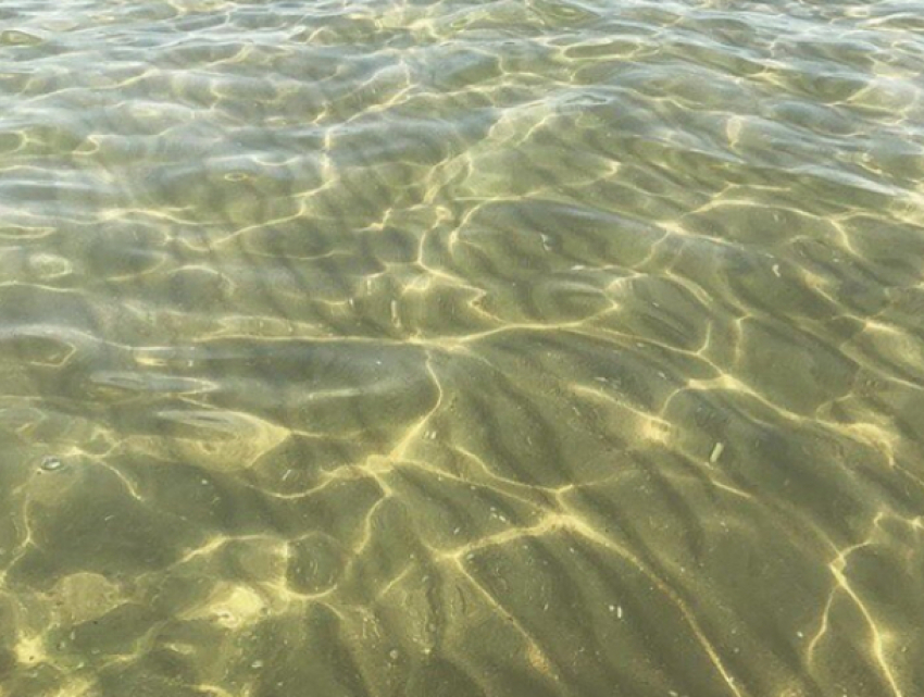 Жители Анапы одним фото доказали, что их пляжи — образец чистоты