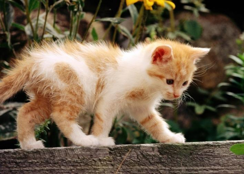 Градус выше: температура воздуха на Кубани поднимается