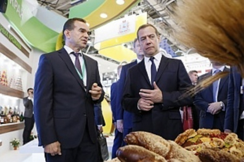 Премьер Медведев посетил экспозицию Кубани на выставке «Золотая осень» в Москве 