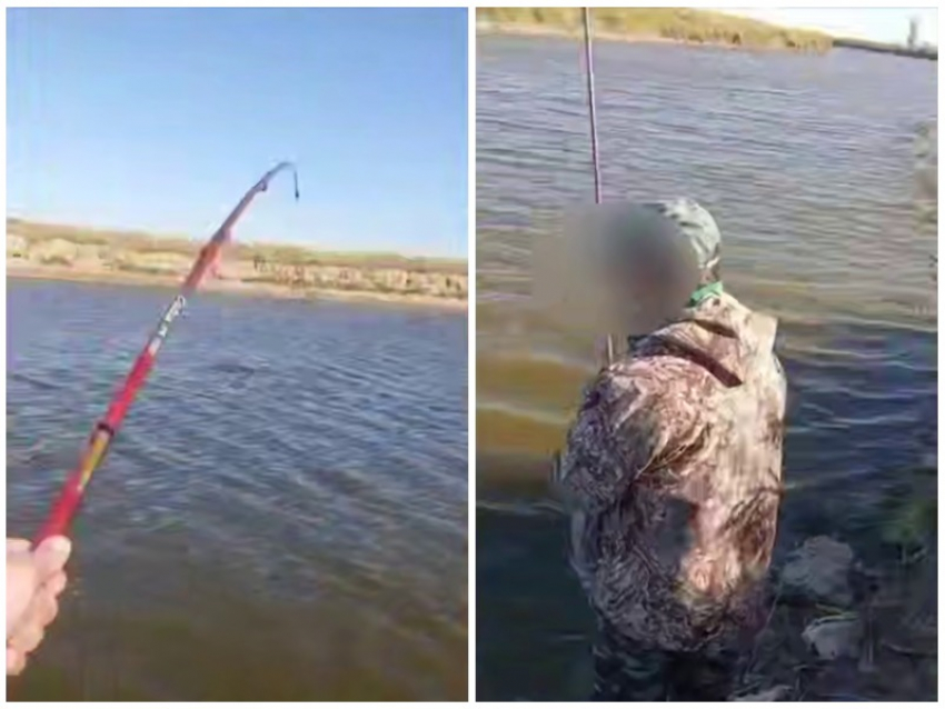 Заплутавший в реке краснокнижный дельфин попал на крючок к рыбаку на Кубани