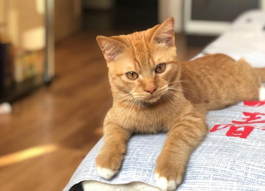 В Краснодаре обещают сильную жару 18 июля