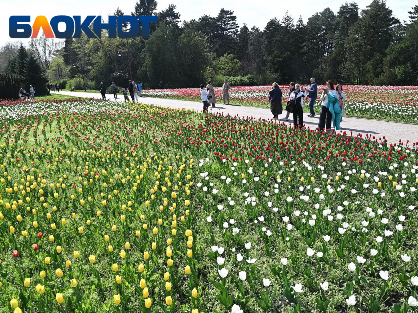 Резкие температурные скачки устроит погода в Краснодаре