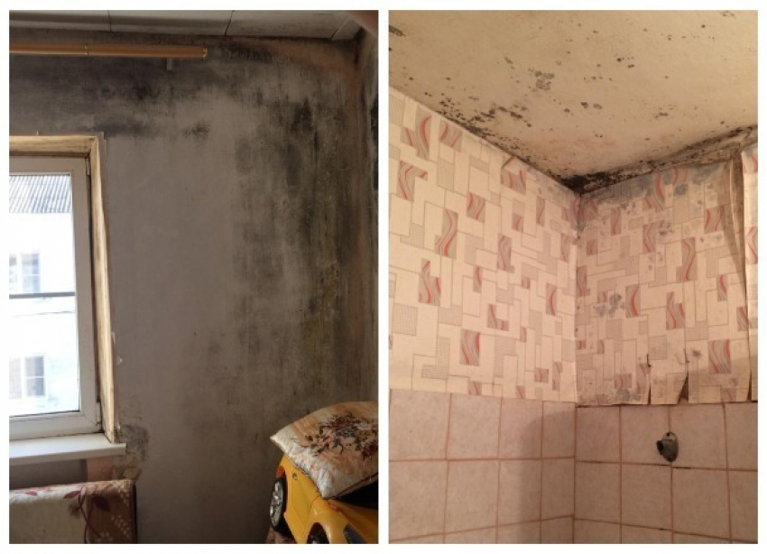 Следком Кубани опубликовал фотографии квартир детей-сирот Усть-Лабинского района