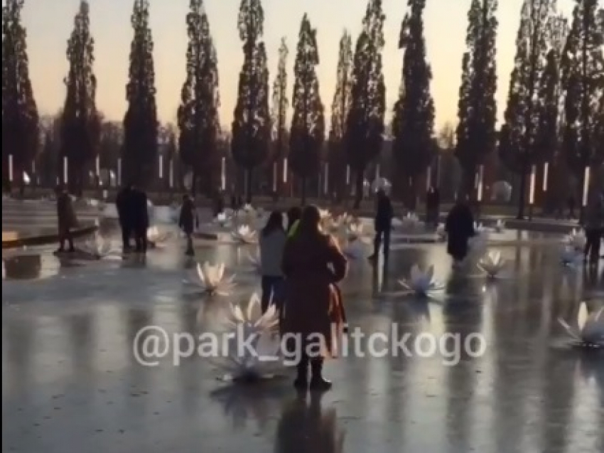 В воде по колено: краснодарцы проверяют прочность льда в парке Галицкого
