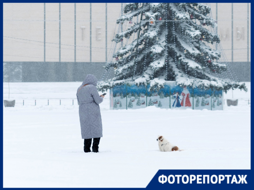 Засыпанные улицы, транспортный коллапс и недовольные южане: Краснодар «утонул» в снегу