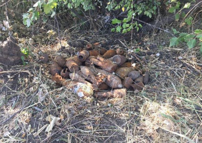 Боеприпасы времен ВОВ обнаружили в лесу Крымского района