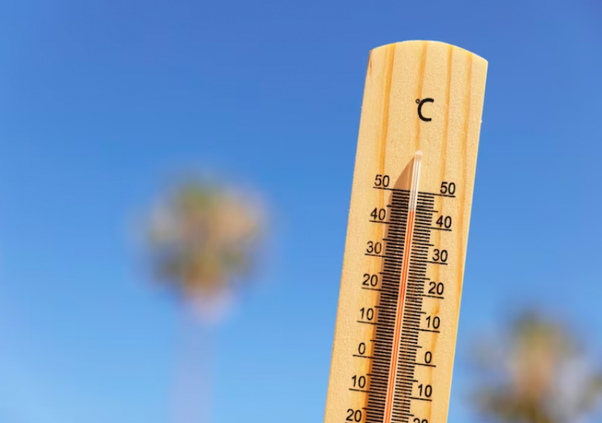 Краснодарцам пообещали самое жаркое лето за всю историю метеонаблюдений