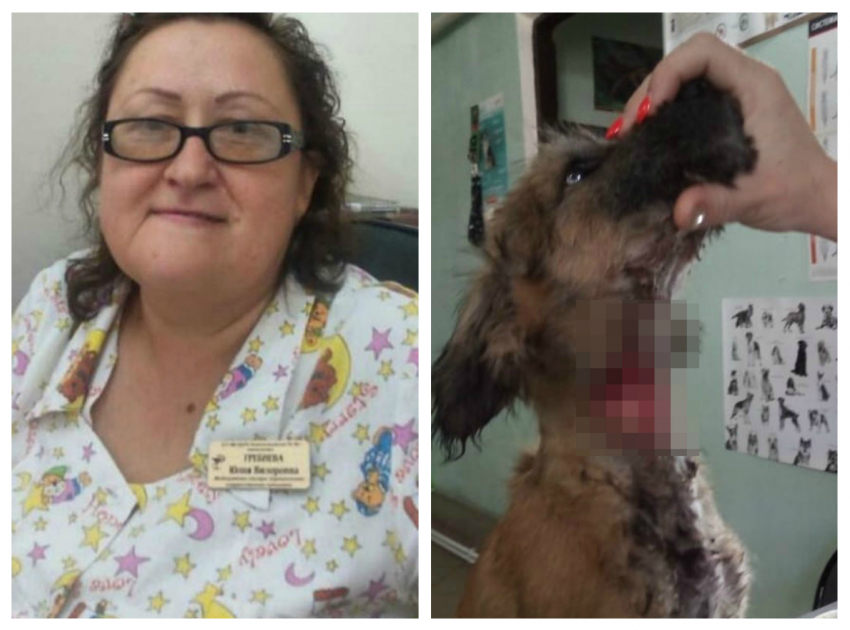 Жители Кубани обвинили медсестру в жестоком обращении с щенком