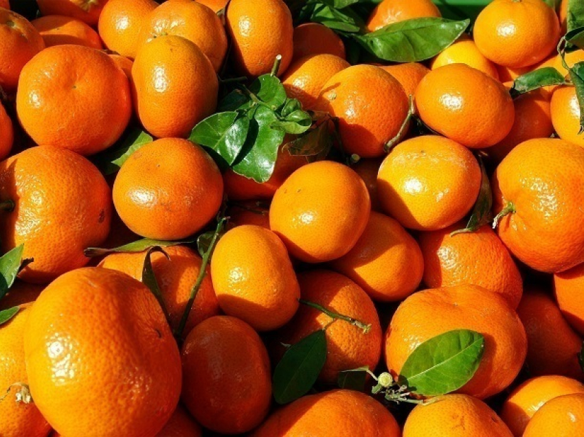 Пользователи соцсетей нашли якобы ввезенные на Кубань продукты питания, зараженные гриппом и ротавирусной инфекцией 