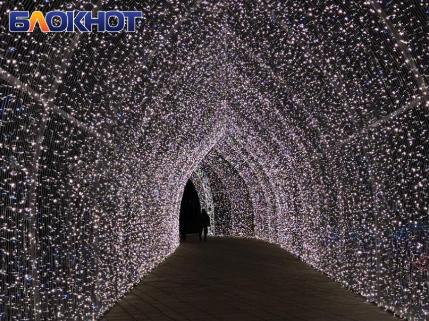 Дух захватывает: новогодние иллюминации в парке Галицкого заполонили соцсети россиян 