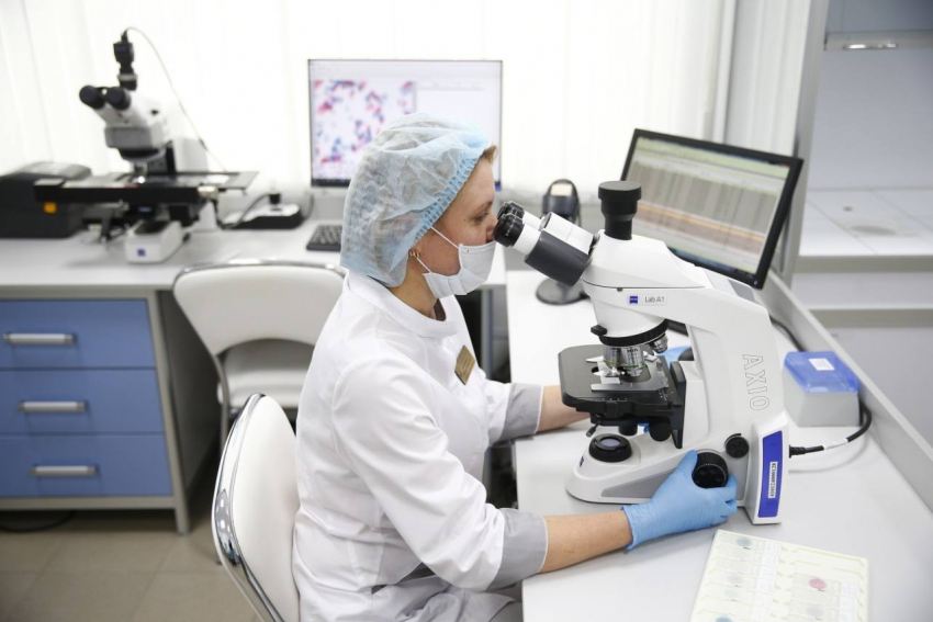 Краснодарский край занимает первое место в ЮФО по количеству научных организаций