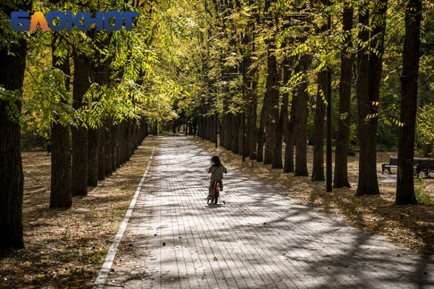 Во время возвращения жары закроют Ботанический сад в Краснодаре