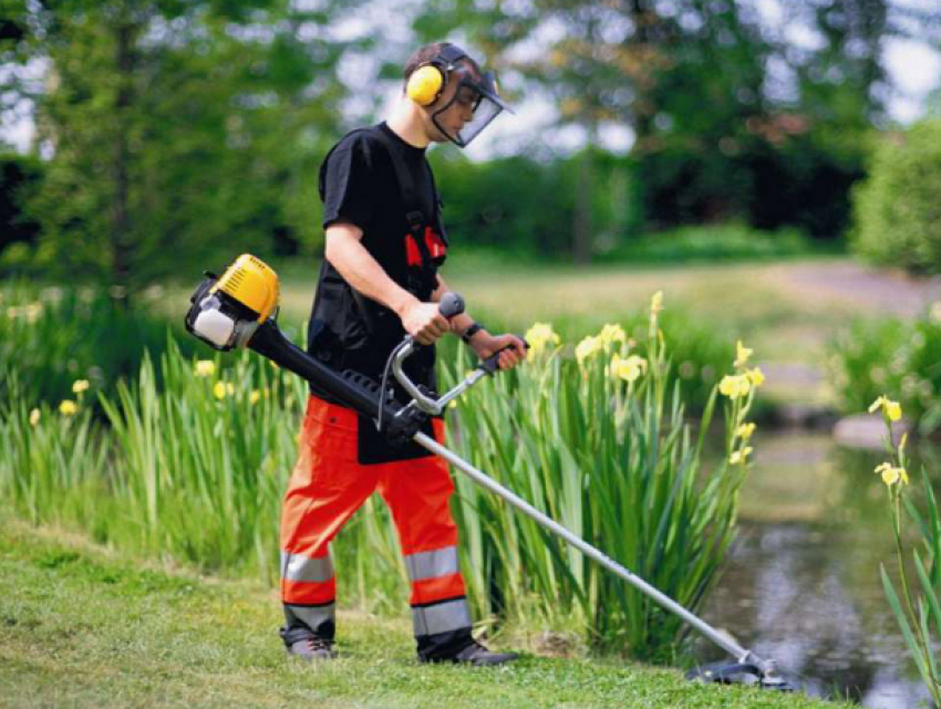 Краснодар очистили от сорной травы