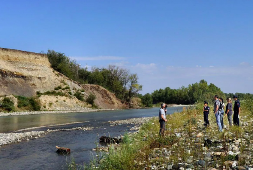 Останки кита нашли на берегу реки Кубань