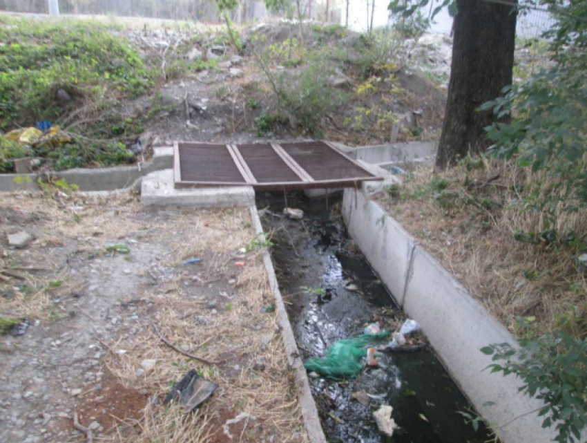 Власти Новороссийска подали в суд на горожан за то, что те за свой счет не укрепили берега и не очистили водоемы