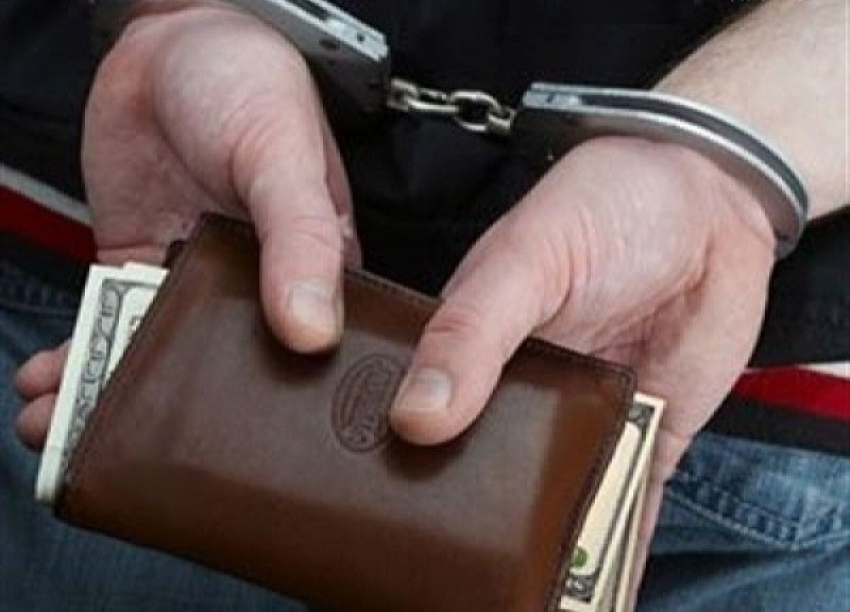 Краснодарец с шиншиллой украл кошелек с 80 тыс. рублей 