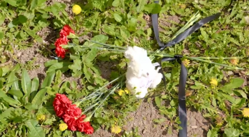 В Краснодарском крае появился стихийный мемориал 6-летней девочке, выпавшей из окна