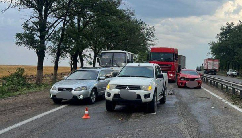 Автобус и 4 машины столкнулись из-за упавшего дерева в Краснодарском крае