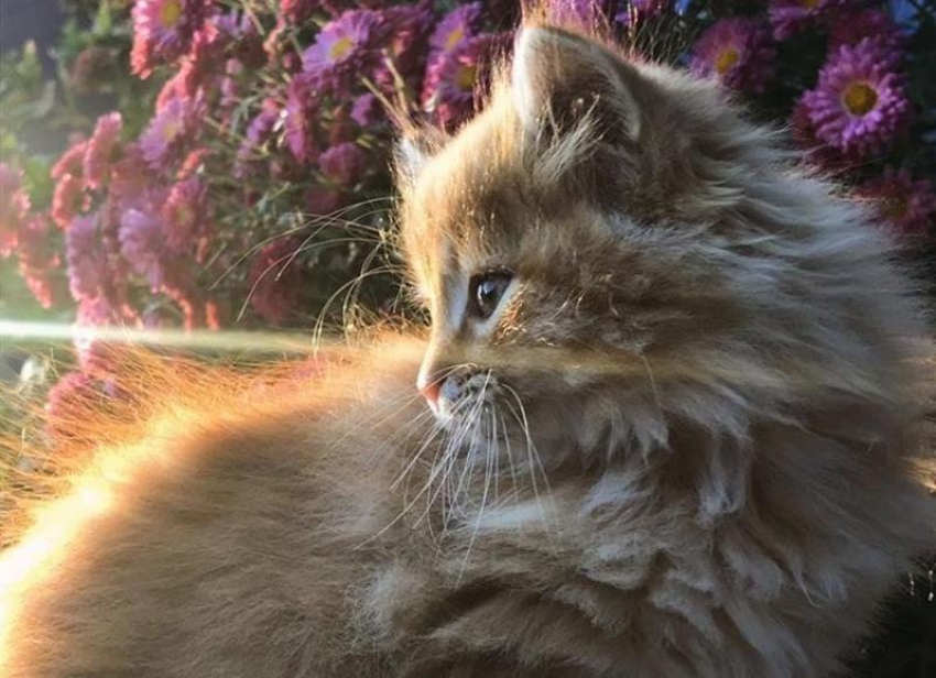 Солнечно и тепло будет в Краснодаре 30 декабря