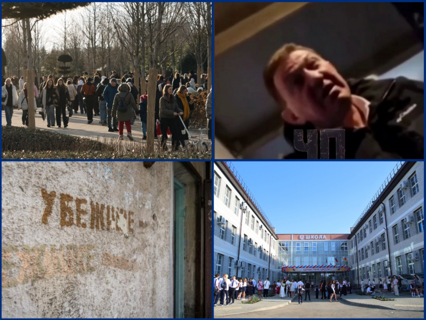 «Муравейник» в парке Галицкого, атака БПЛА и скандал с главой района: самые обсуждаемые новости Кубани за неделю