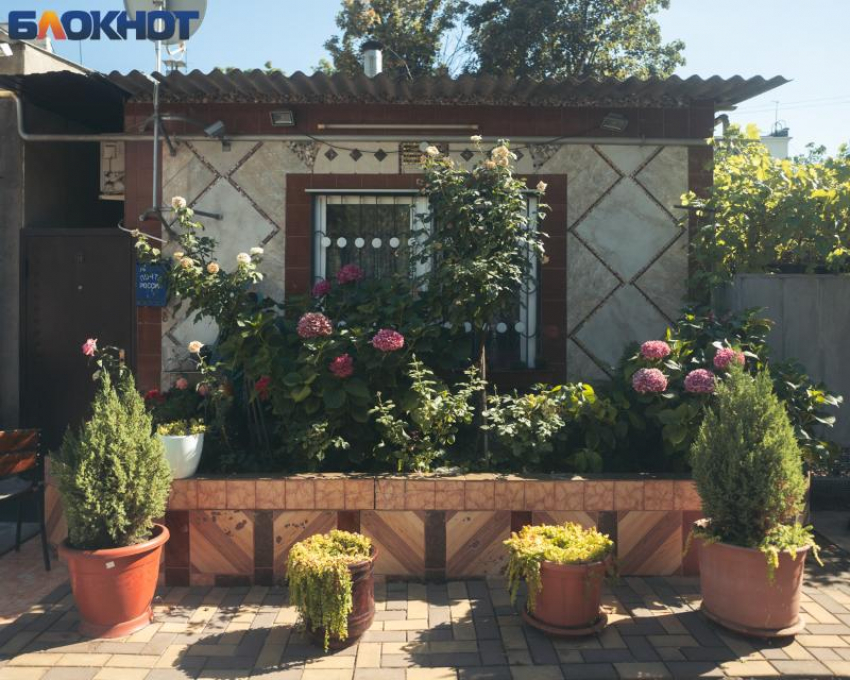 До +29 градусов прогреется воздух в Краснодаре во вторник