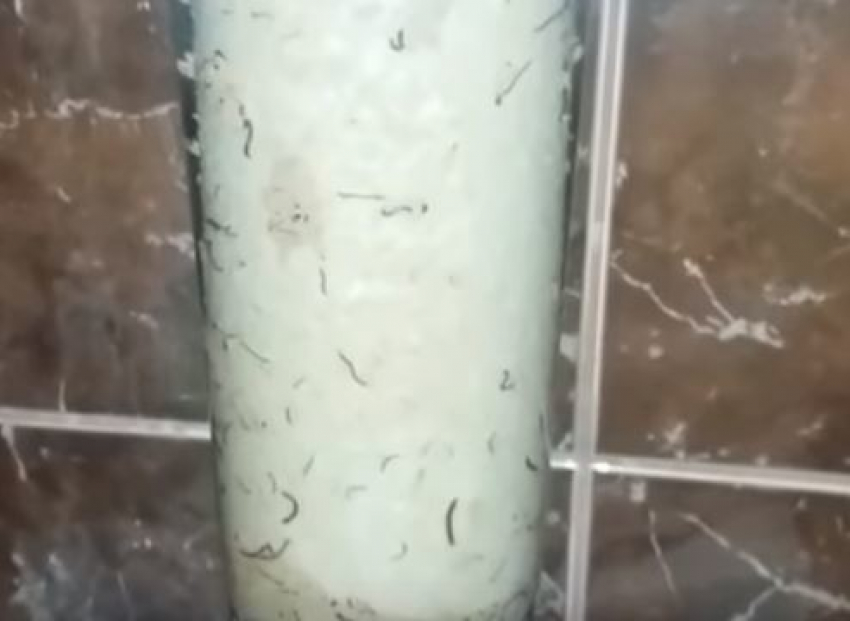 «С наших кранов идут черви!» - в Новороссийске семья отравилась городской водой